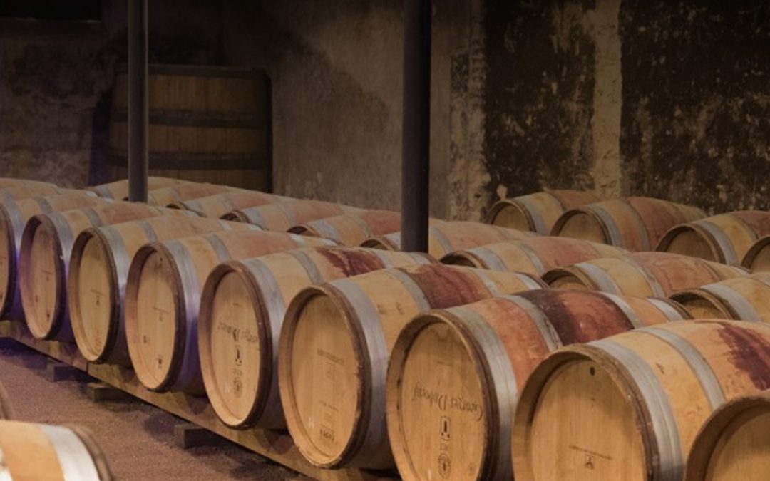 A range of wooden kegs lined up.