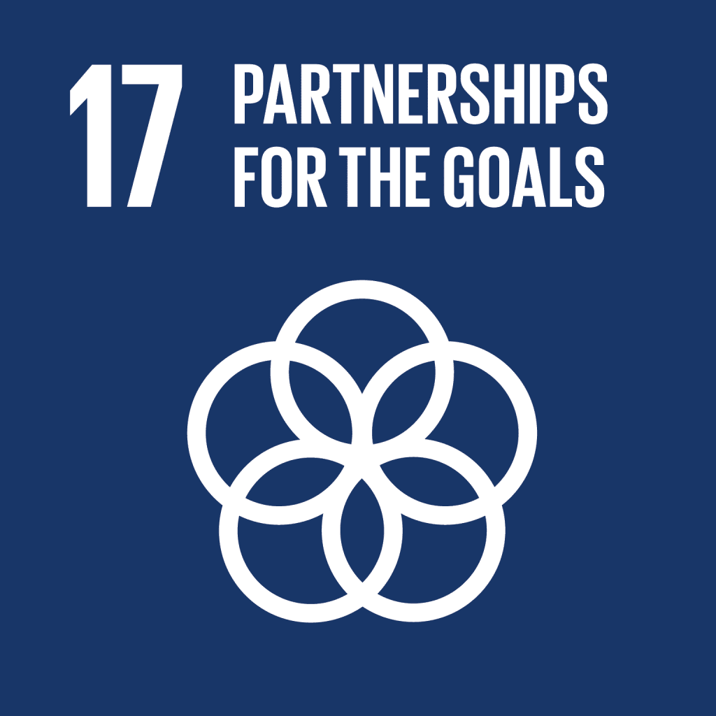 Partnerships for the goals graphic.