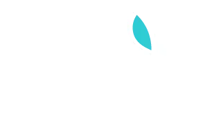 BDS Sponsorship Logo